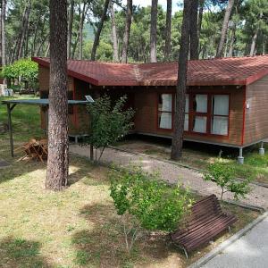 Cabana_Bacca359936