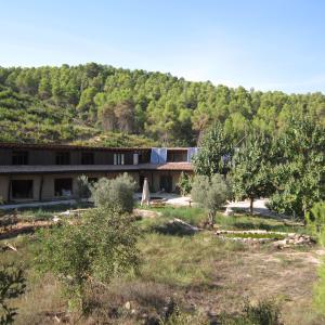 Vista general del alojamiento y bosque