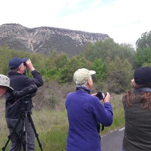 Birders juniors mirando en prismaticos
