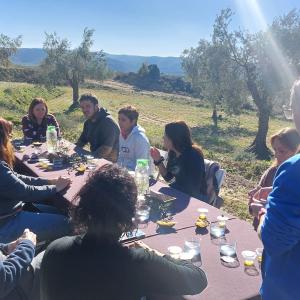 Degustación en el campo Royal de Alloza