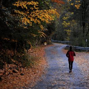 Camino de otoño y mujer paseando