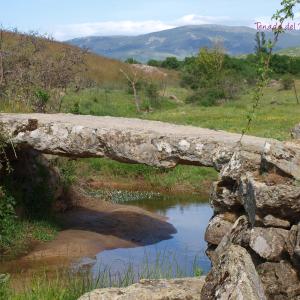 Puente arroyo del Pontón