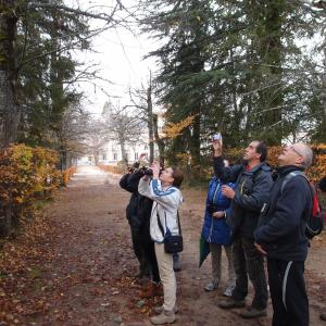 Observadores de aves en La Granja