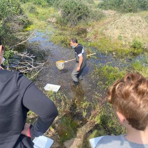 Observando la biodiversidad de la charca