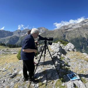 Tour aves alpinas