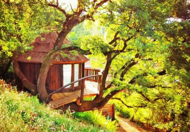 Imagen de alojamiento