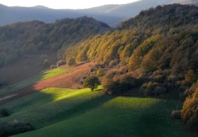 Imagen de alojamiento