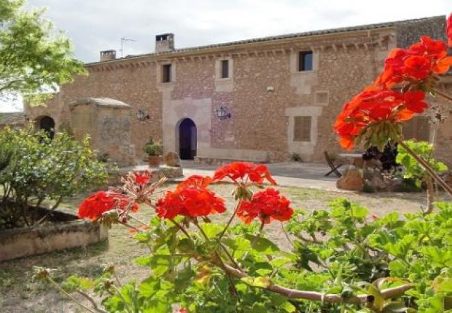 Imagen de alojamiento