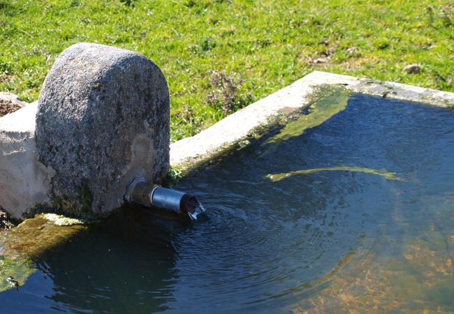 Imagen de alojamiento