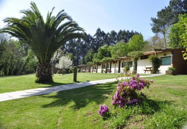 Imagen de alojamiento