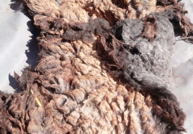 Imagen de alojamiento