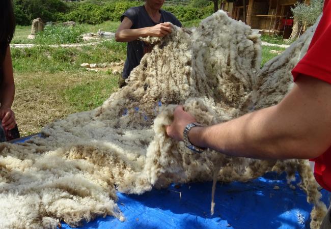 Imagen de alojamiento