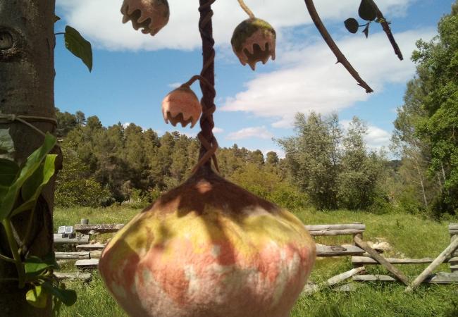 Imagen de alojamiento