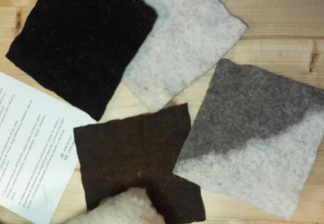 Imagen de alojamiento