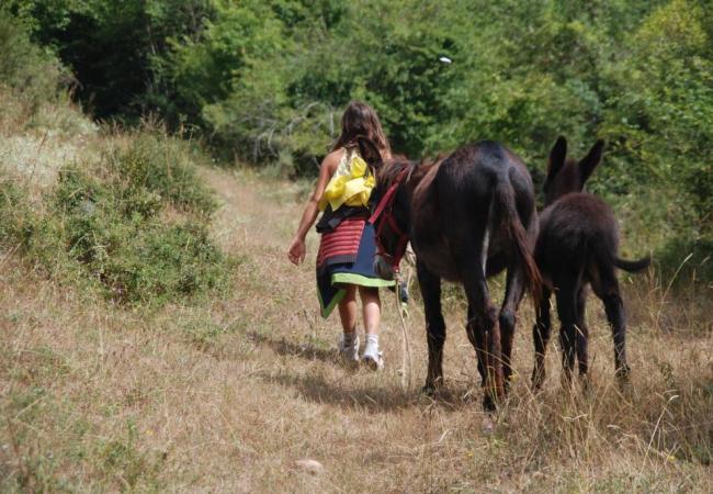 Imagen de alojamiento