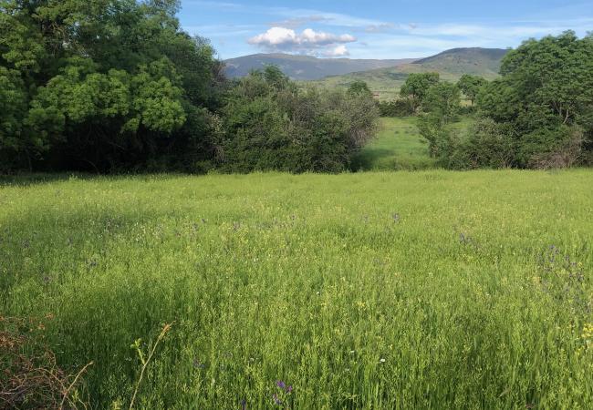 Imagen de alojamiento