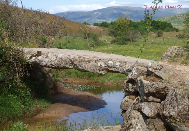 Imagen de alojamiento