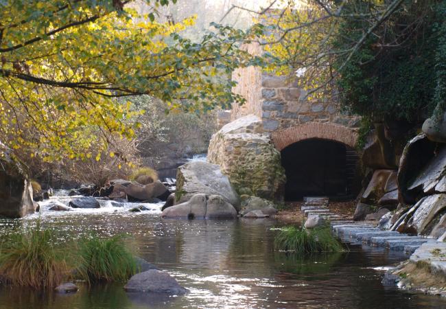 Imagen de alojamiento