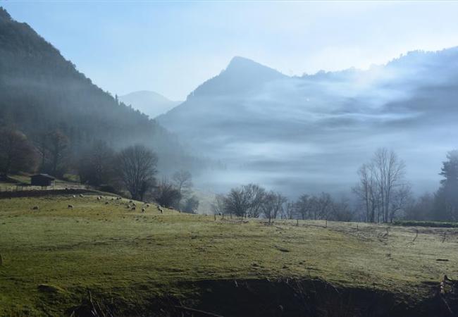 Imagen de alojamiento