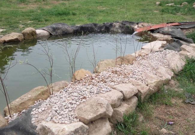 Imagen de alojamiento