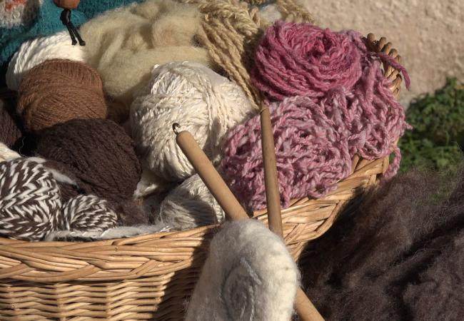 Imagen de alojamiento