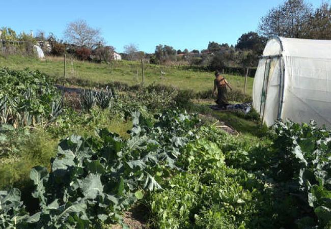 Imagen de alojamiento