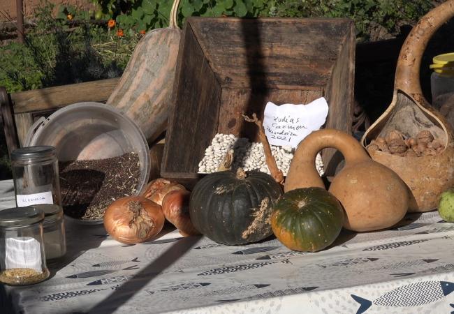 Imagen de alojamiento