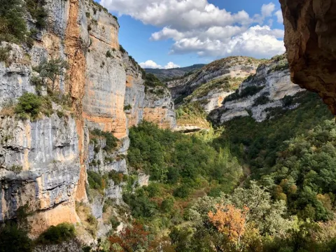 Imagen de experiencia