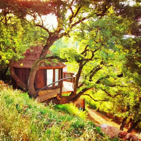 Imagen de alojamiento