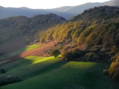 Imagen de alojamiento