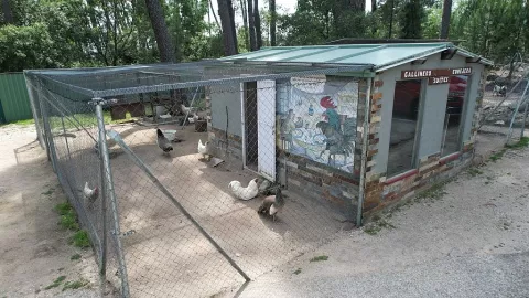 Imagen de alojamiento