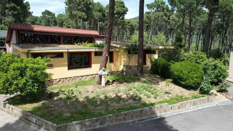 Imagen de alojamiento