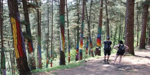 Imagen de alojamiento