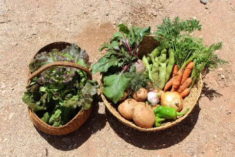 Imagen de alojamiento