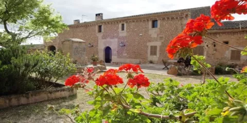 Imagen de alojamiento