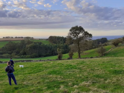 Imagen de experiencia