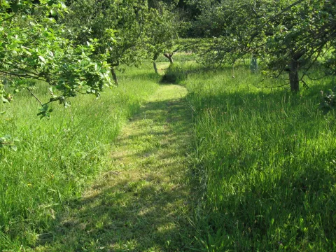 Imagen de experiencia