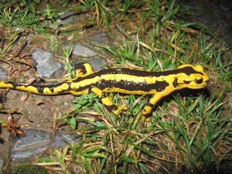 Imagen de experiencia