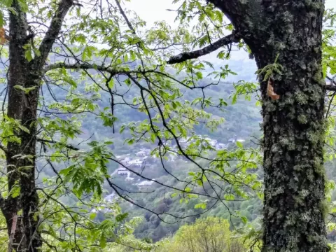 Imagen de alojamiento