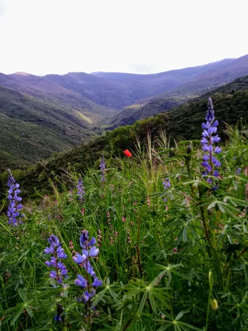 Imagen de alojamiento