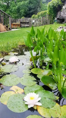 Imagen de alojamiento