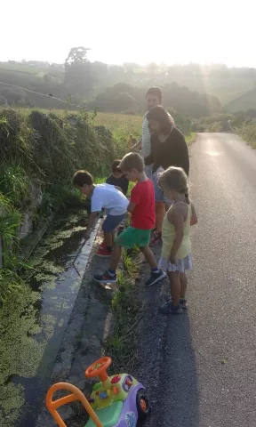 Imagen de experiencia