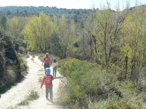 Imagen de alojamiento