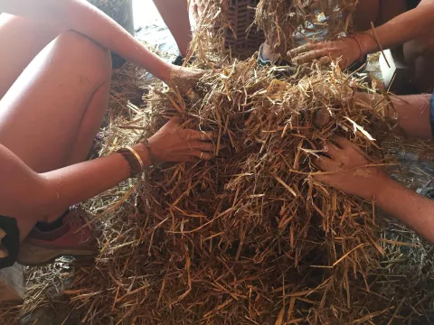 Imagen de experiencia