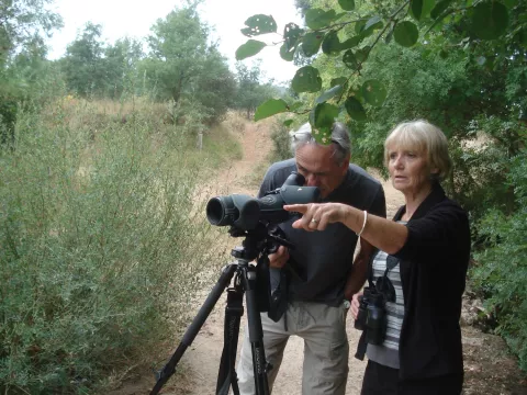 Imagen de alojamiento