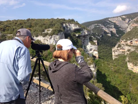 Imagen de experiencia