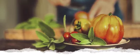 Imagen de alojamiento