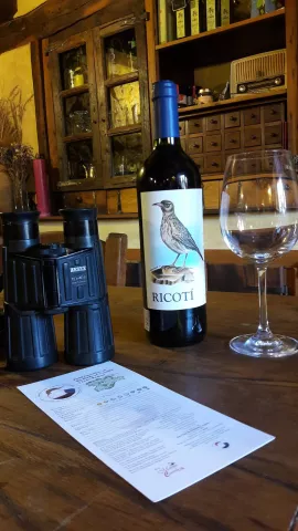 Imagen de alojamiento