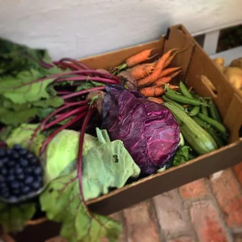 Imagen de alojamiento