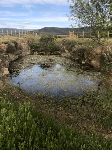 Imagen de experiencia